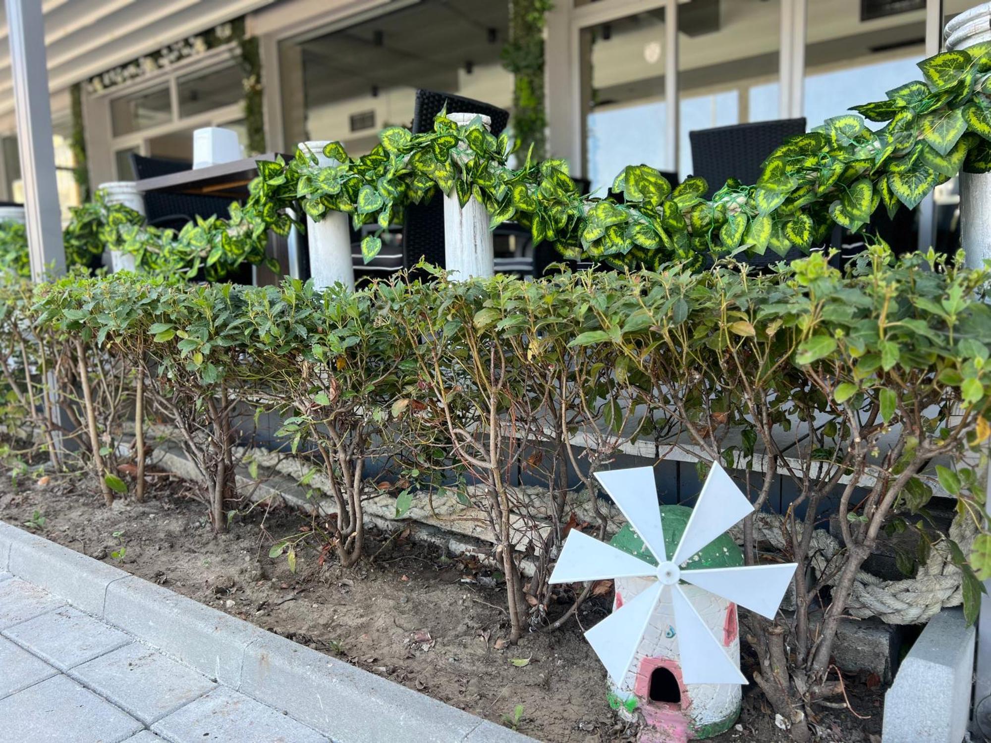 Persani Hotel-Free Parking サニービーチ エクステリア 写真